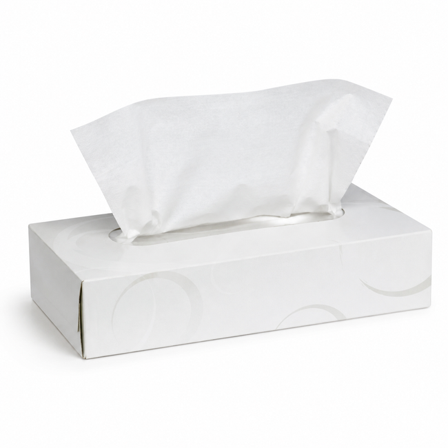 Facial Tissues 100 Sheets – 2-Ply 20×19cm 48/CTN